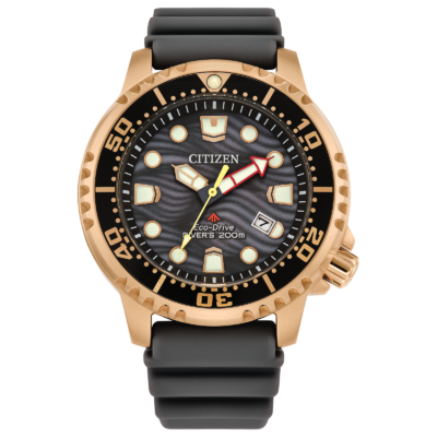 Citizen Men's Promaster Dive Eco-Drive Gray Dial Watch BN0163-00H